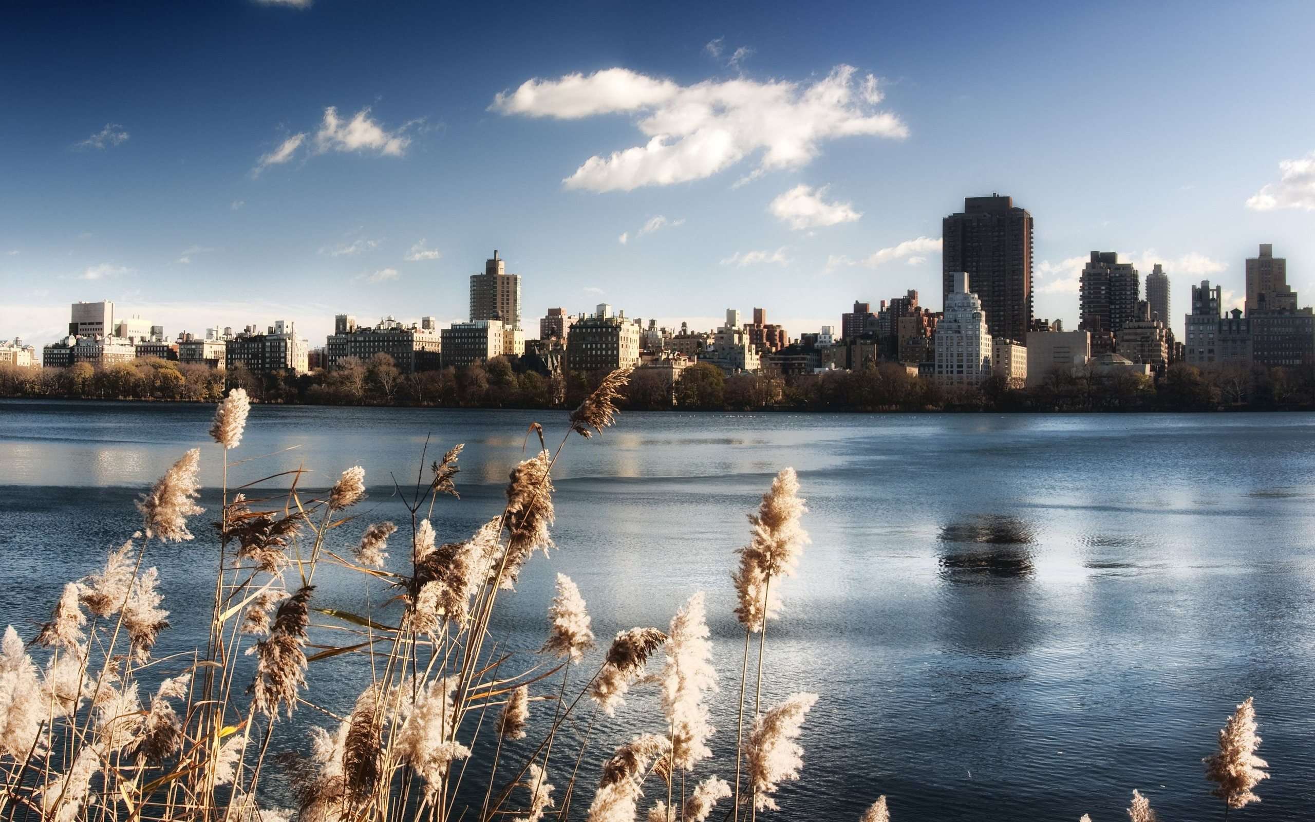 Nyc Central Park Infrared Wallpapers