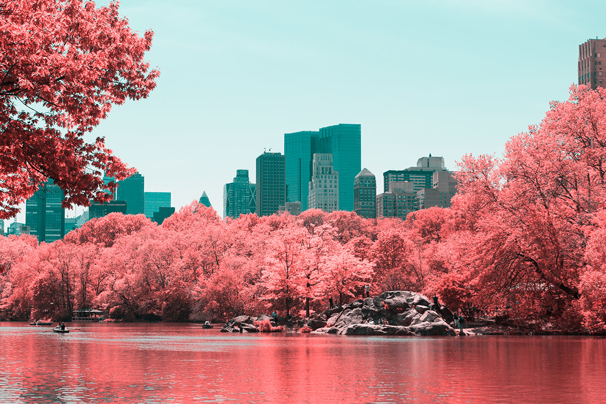 Nyc Central Park Infrared Wallpapers