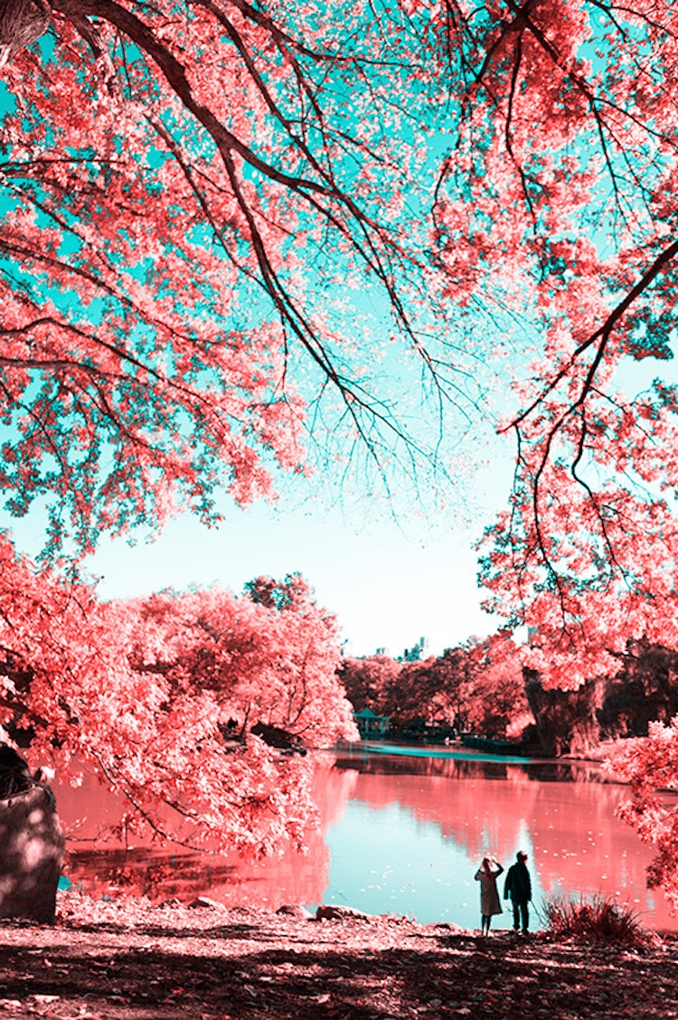 Nyc Central Park Infrared Wallpapers