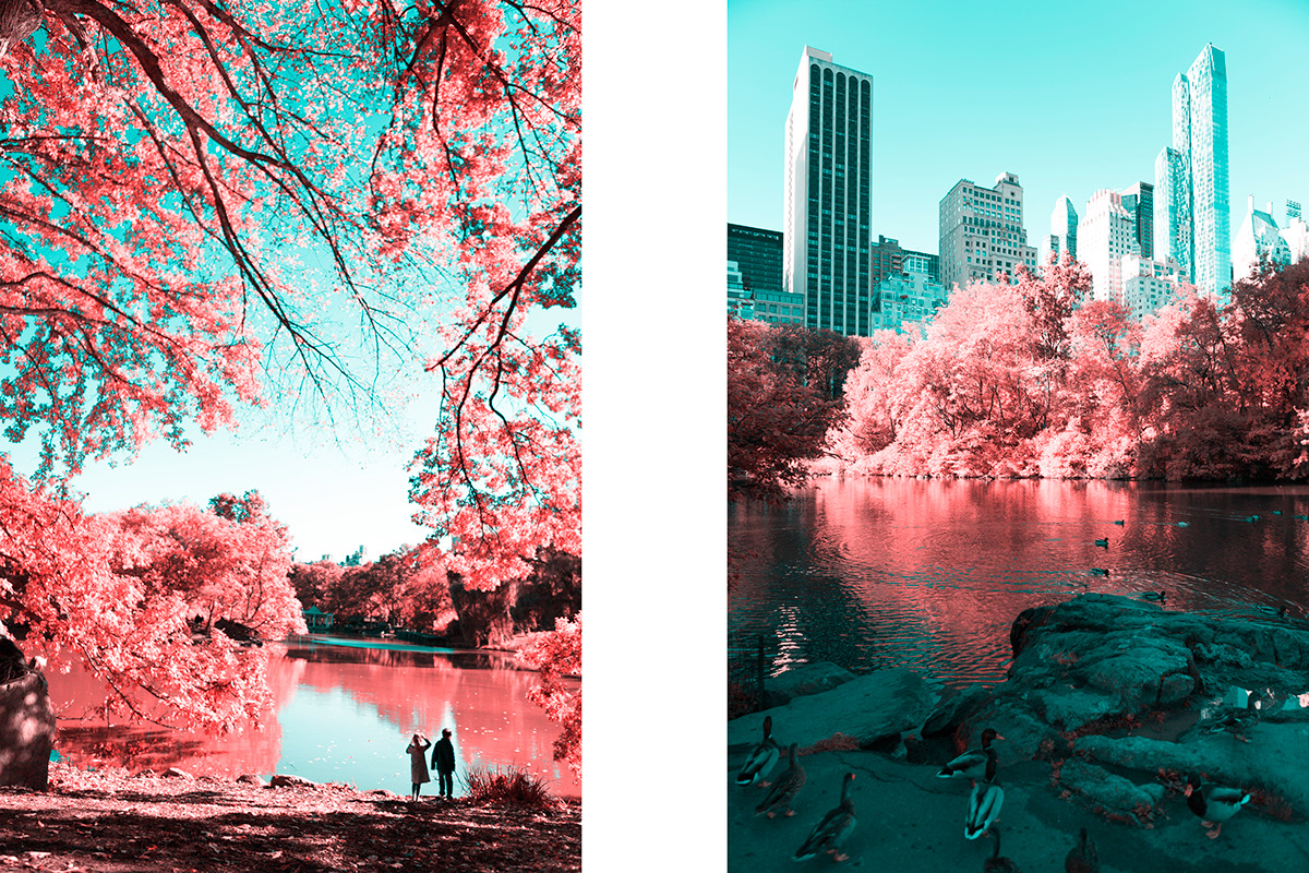 Nyc Central Park Infrared Wallpapers