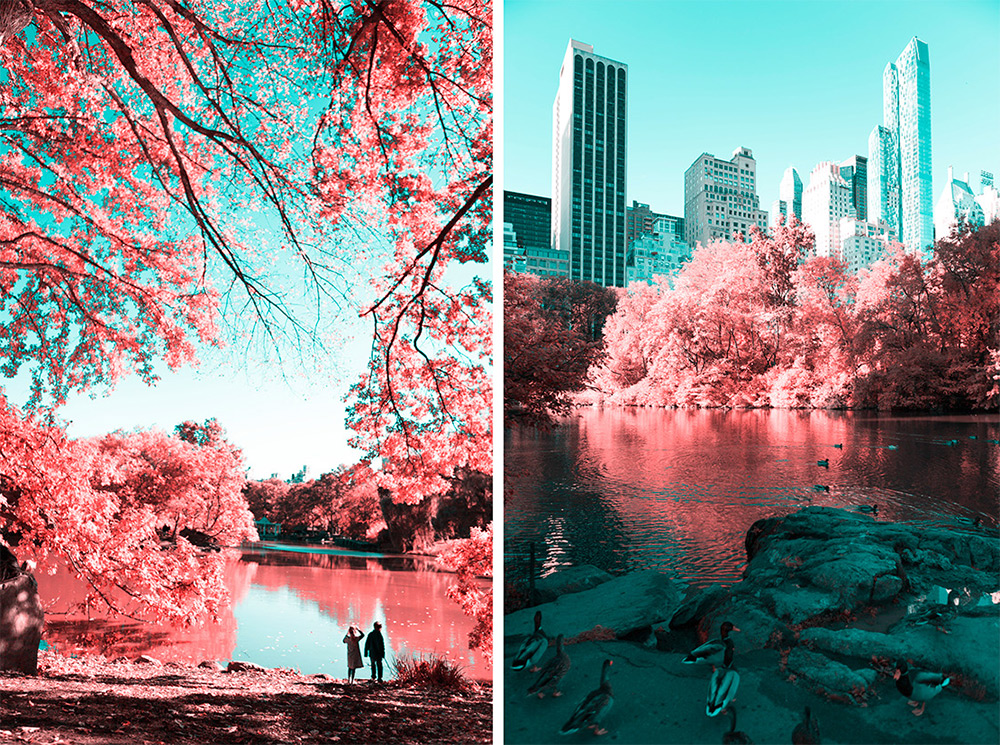 Nyc Central Park Infrared Wallpapers