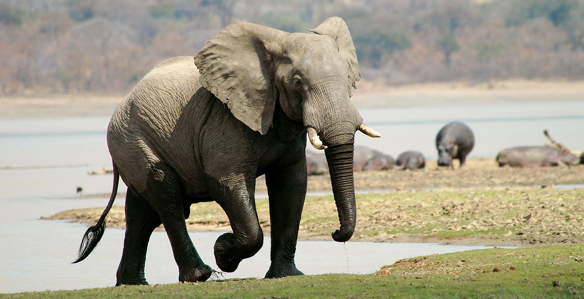 Nyika National Park Wallpapers