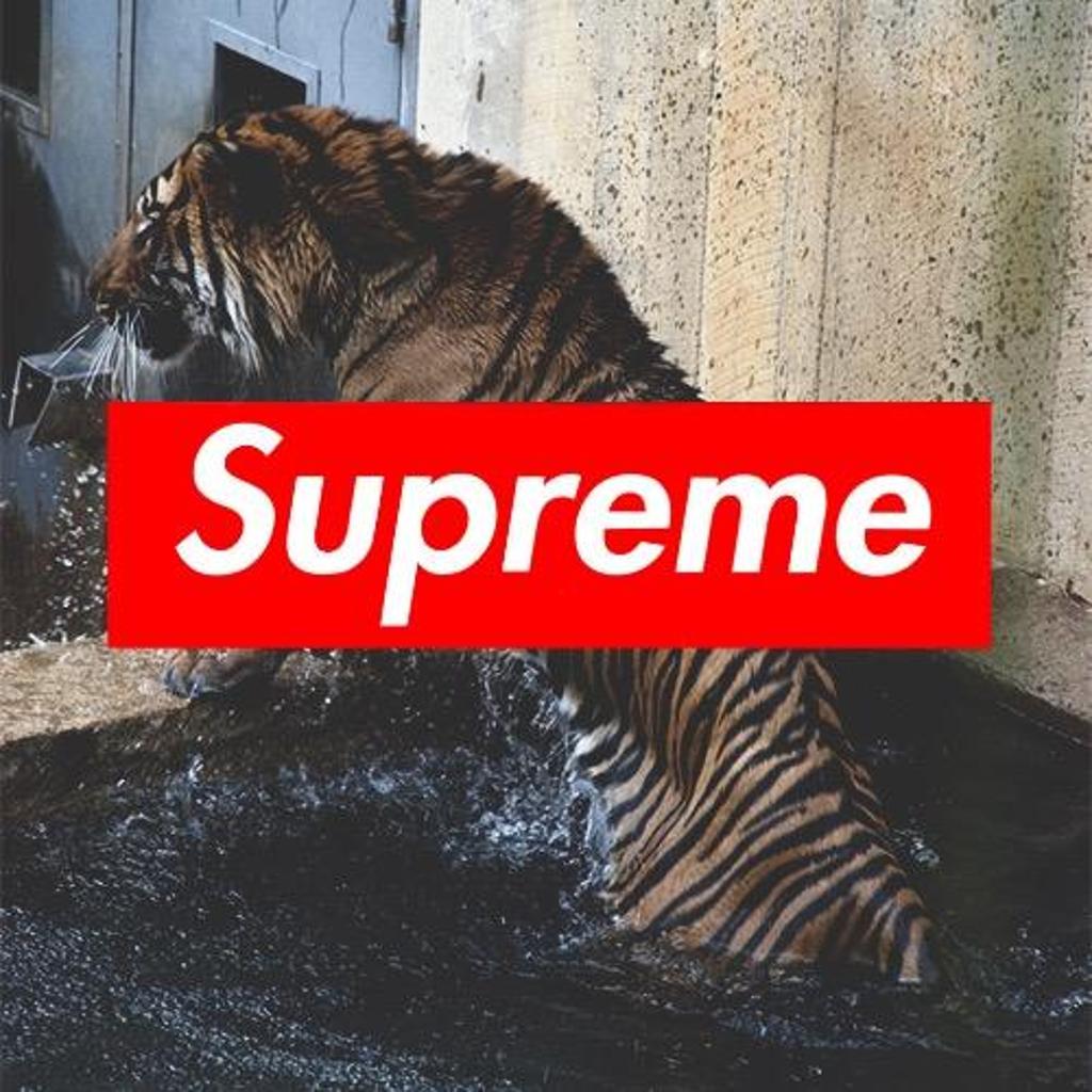 Obey Supreme Wallpapers