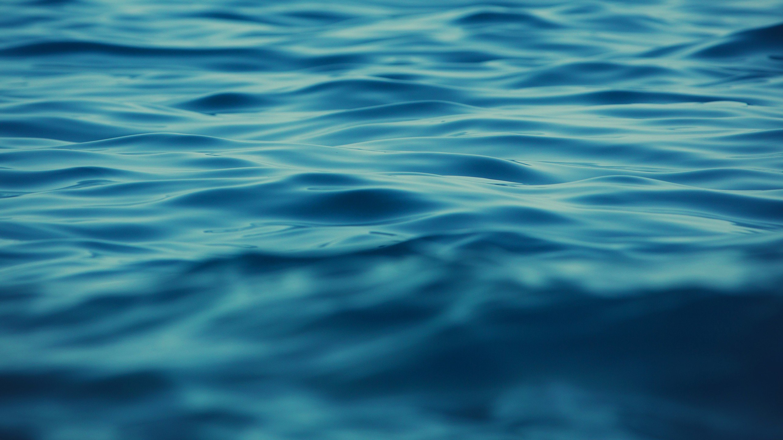 Ocean 4K Macro Wallpapers