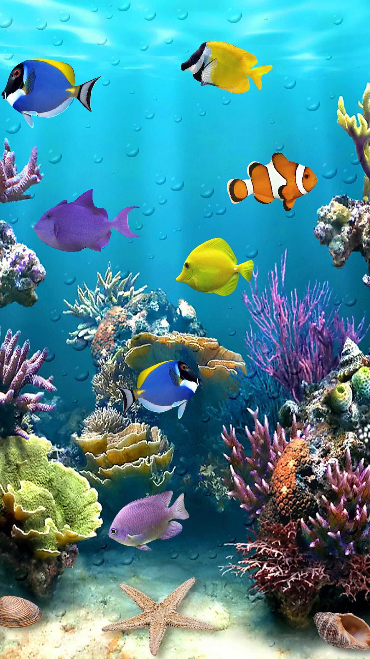 Ocean Animals Wallpapers