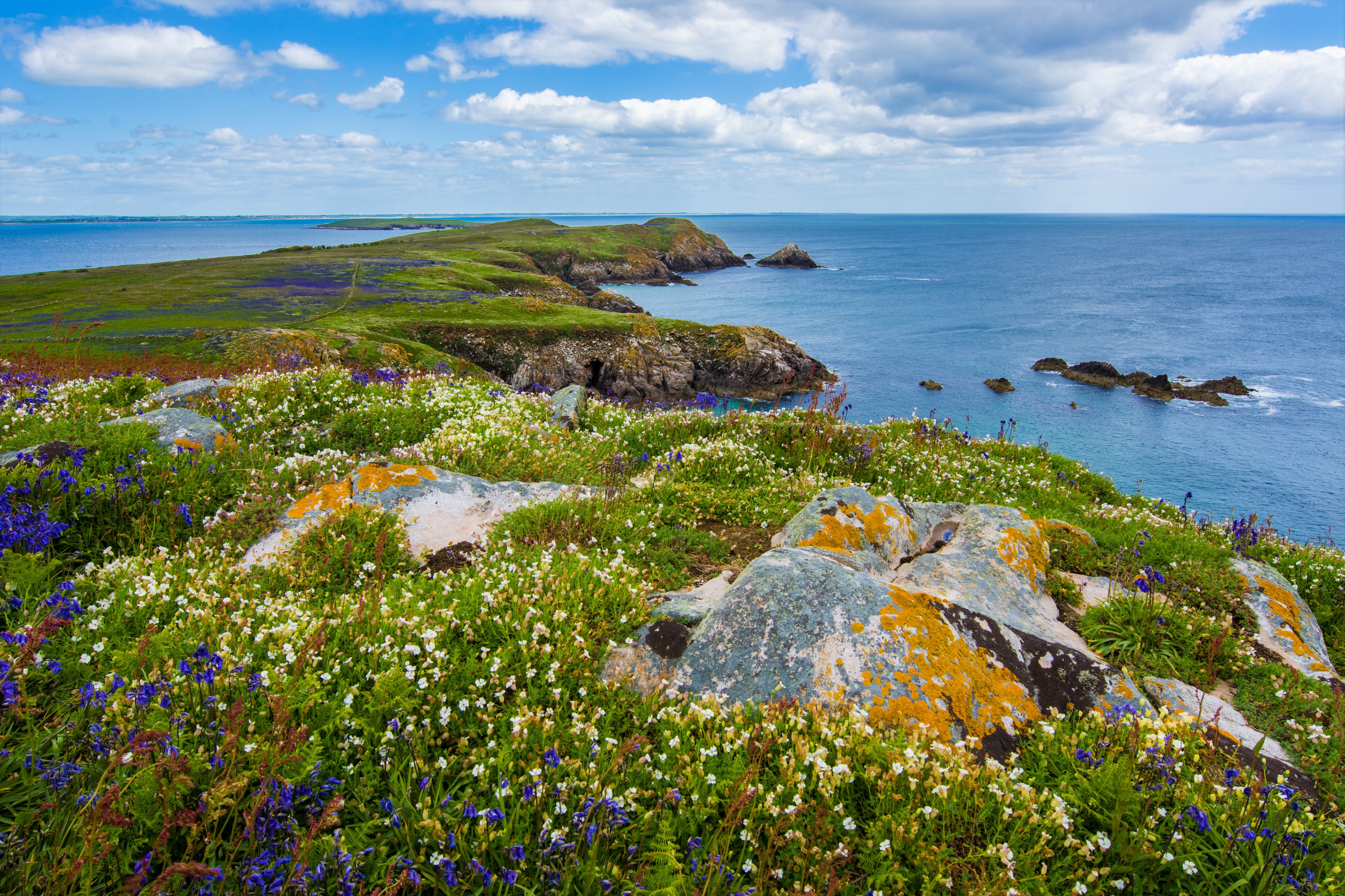 Ocean Coastline Wallpapers