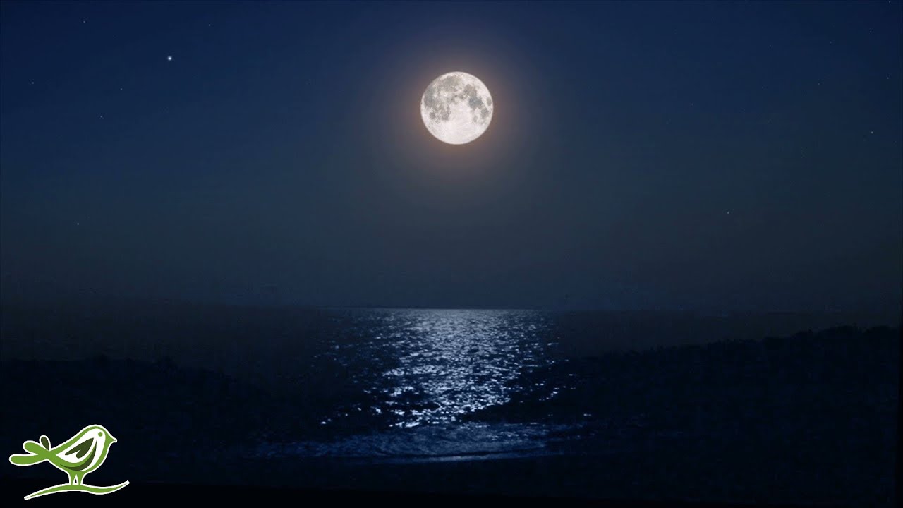 Ocean During Nighttime With Moon Wallpapers