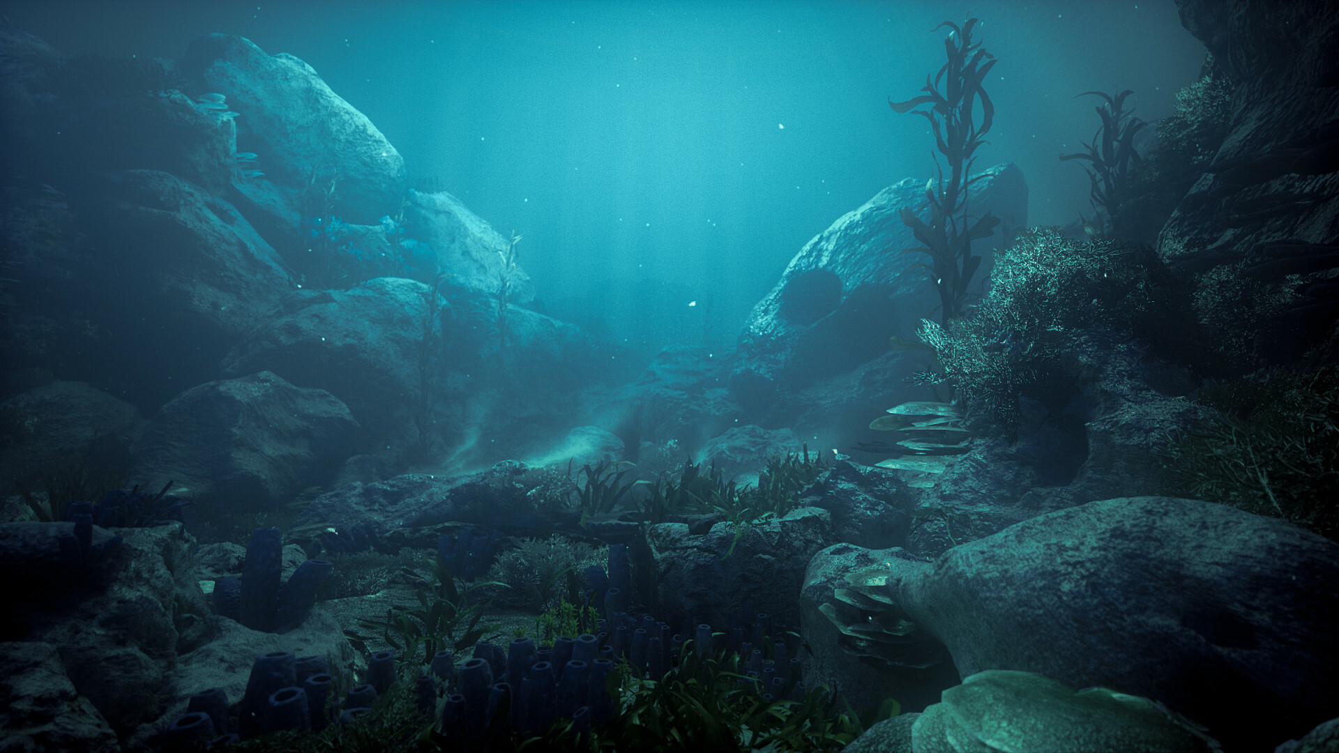 Ocean Floor Wallpapers