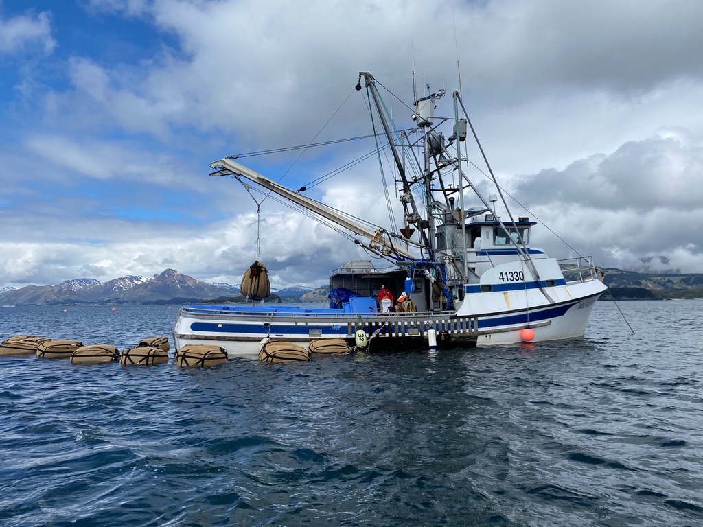 Ocean In Alaska Juneau Wallpapers