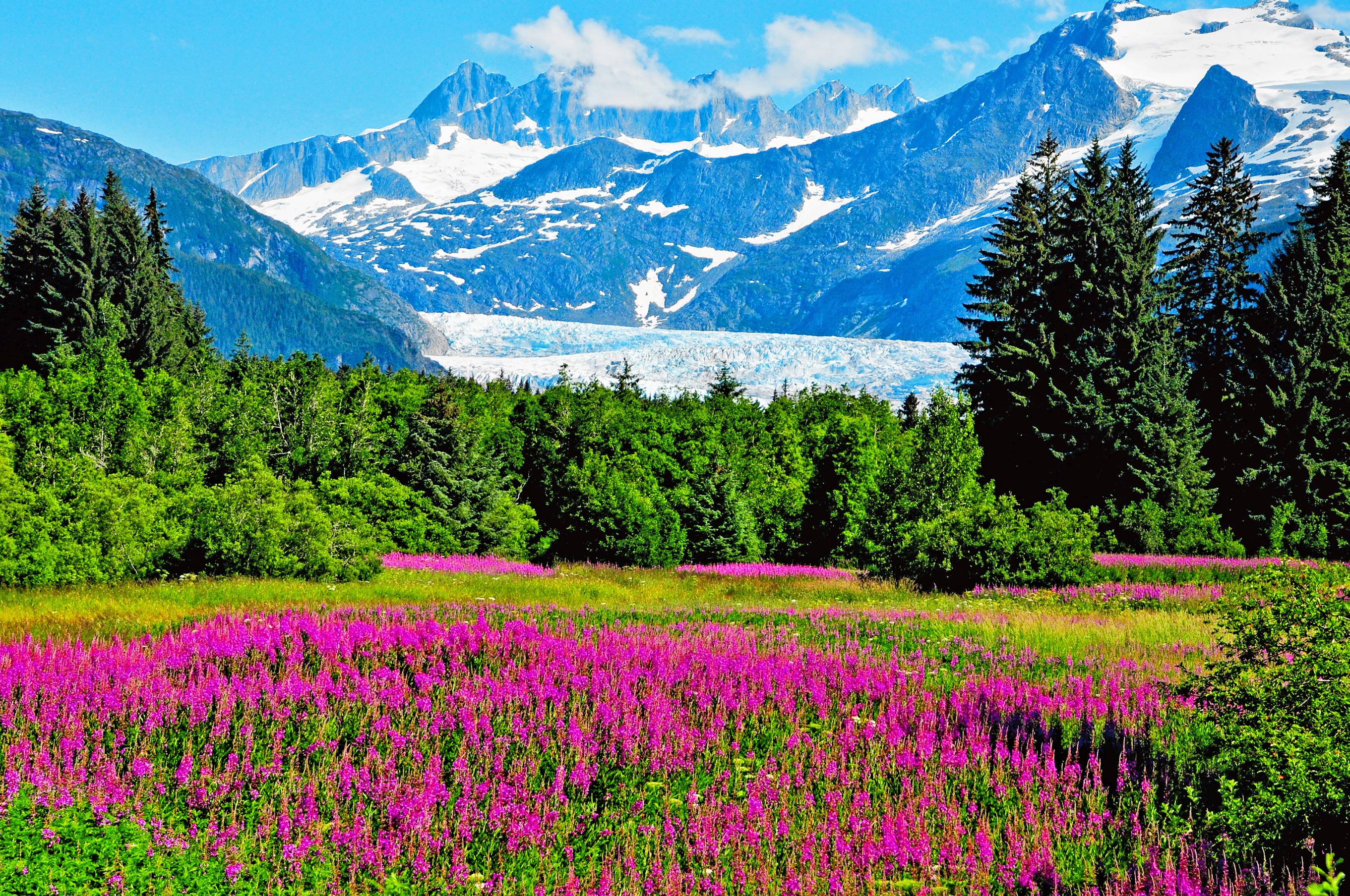 Ocean In Alaska Juneau Wallpapers