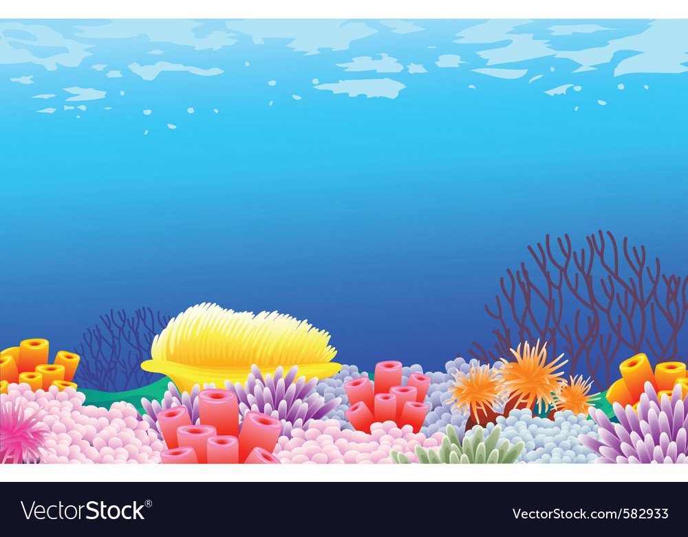 Ocean Life Background