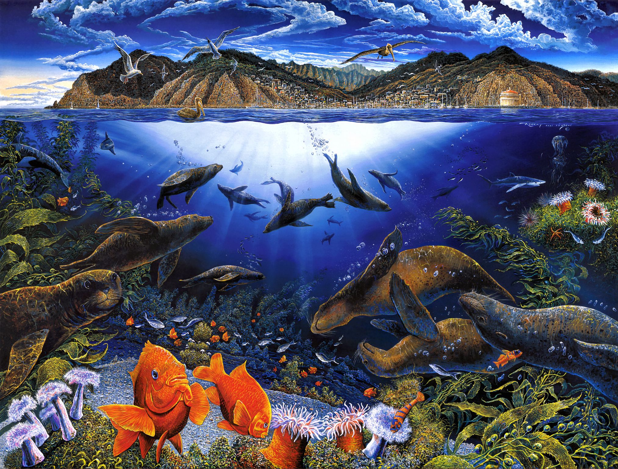Ocean Life Background