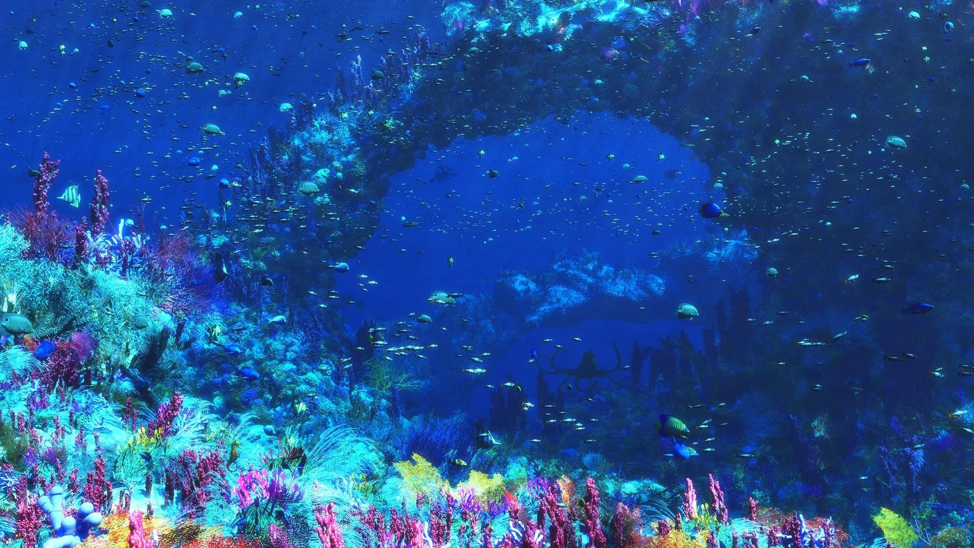 Ocean Life Background