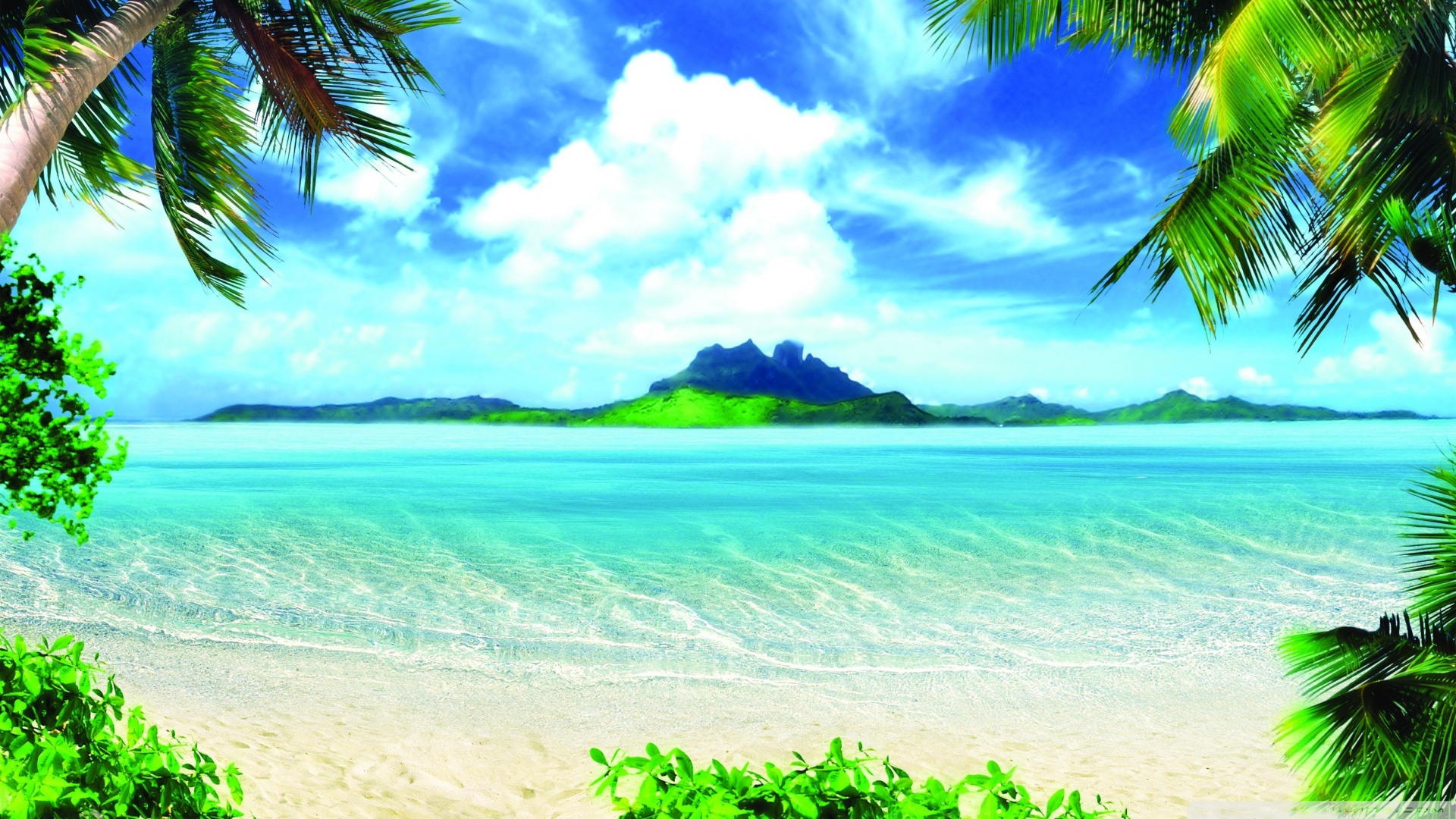 Ocean Moana Background