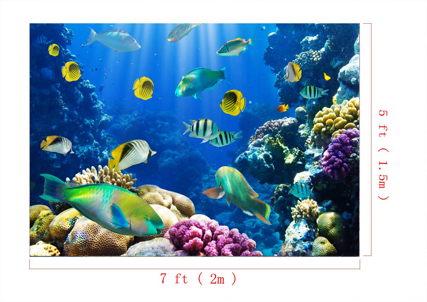 Ocean Reef Background