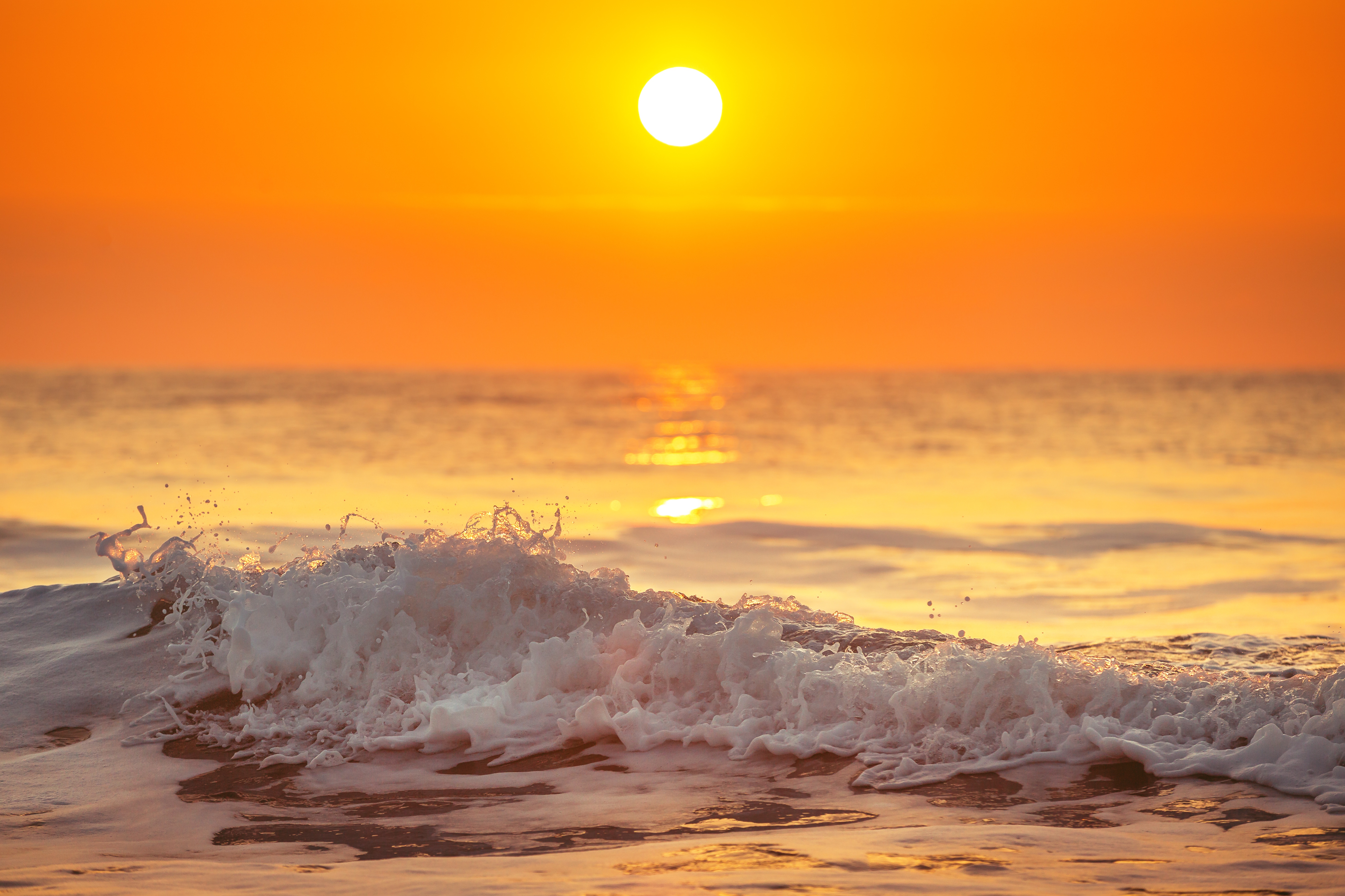 Ocean Sunrise Wallpapers