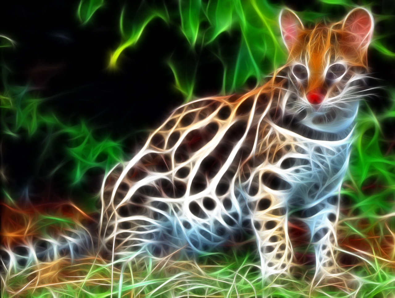 Ocelot Wallpapers