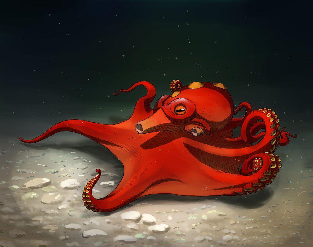 Octillery Hd Wallpapers