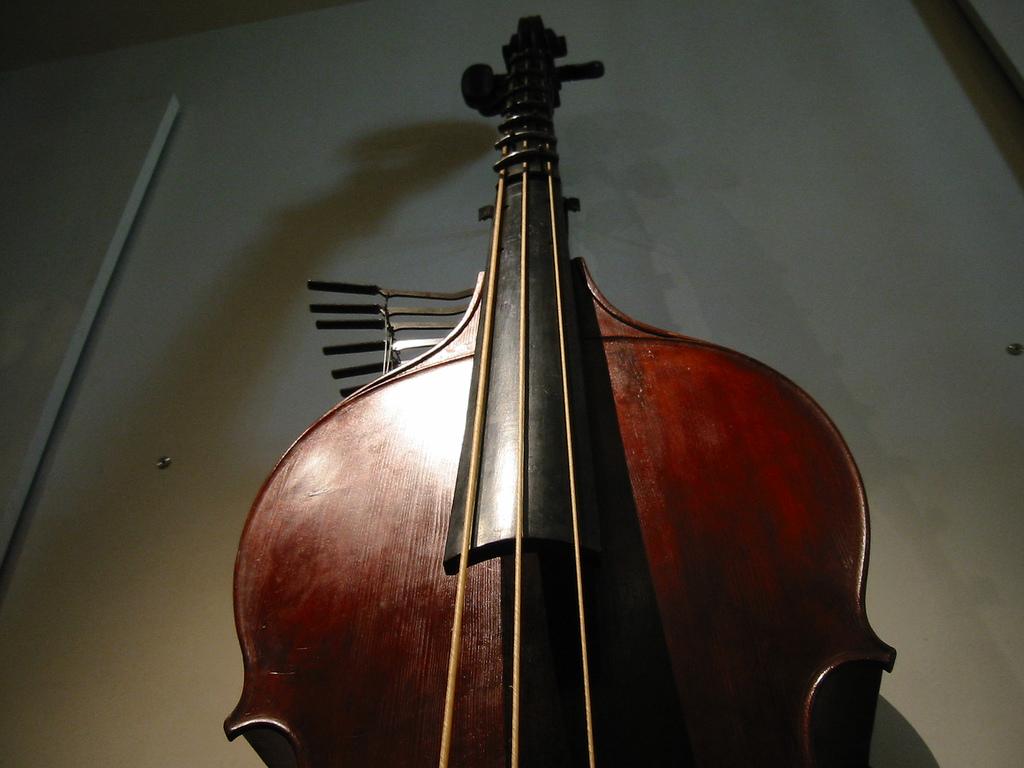 Octobass Wallpapers