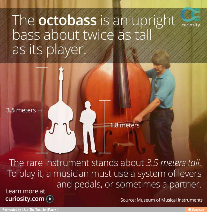 Octobass Wallpapers