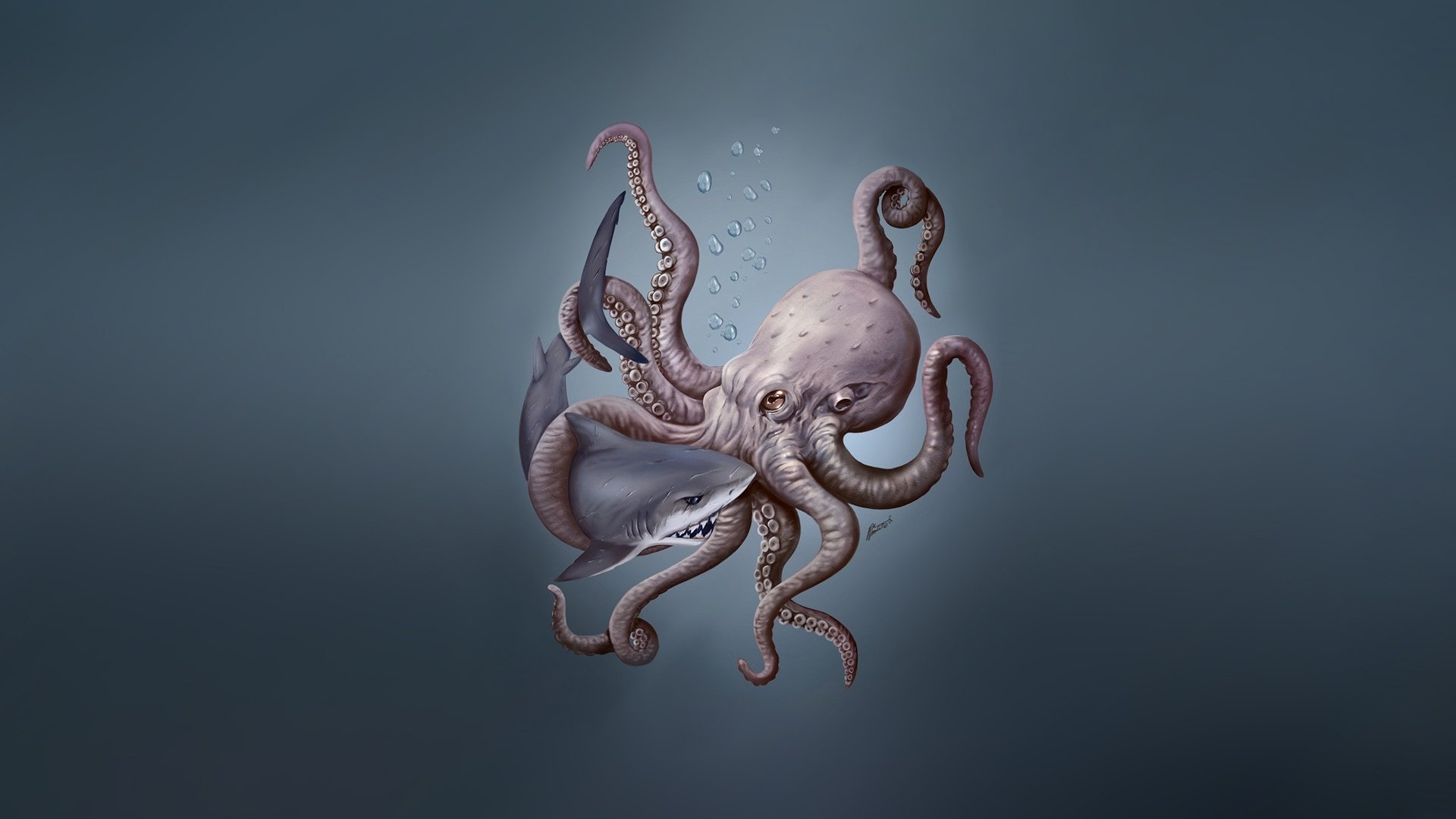 Octopus Wallpapers