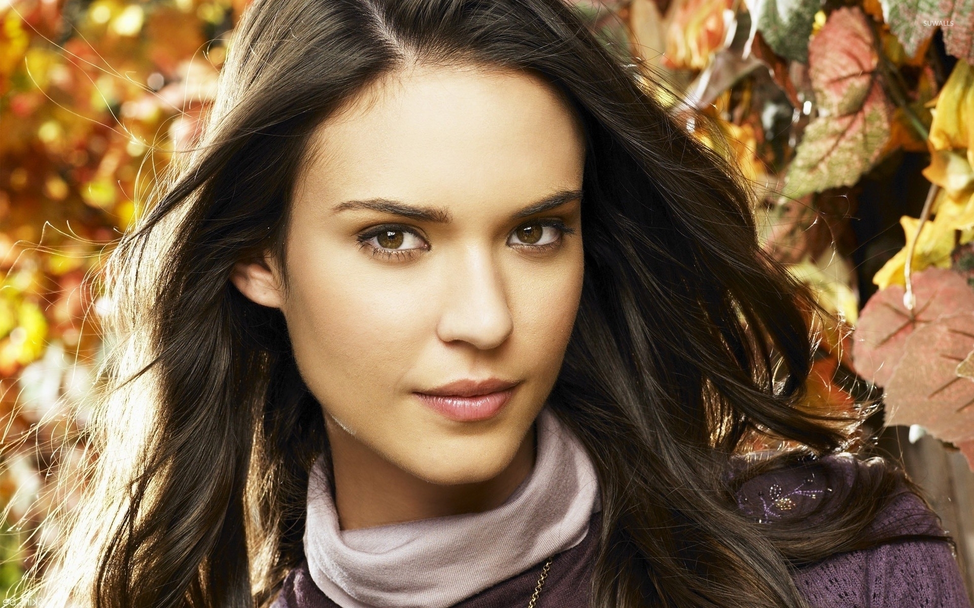 Odette Annable Wallpapers