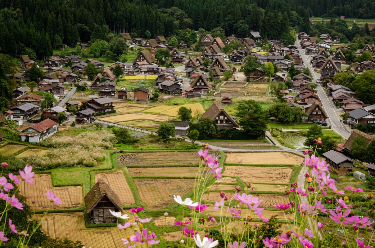 Ogimachi Village Wallpapers