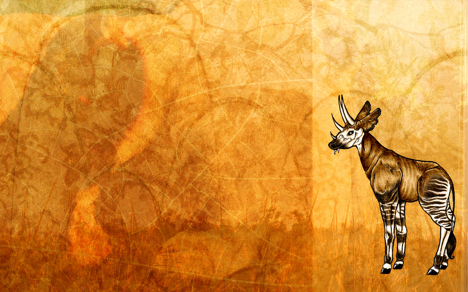 Okapis Wallpapers