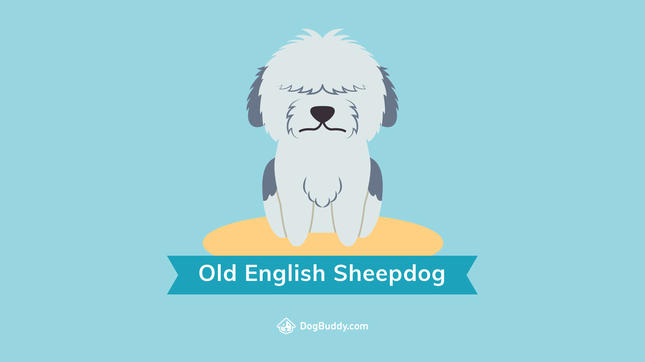 Old English Sheepdog Wallpapers