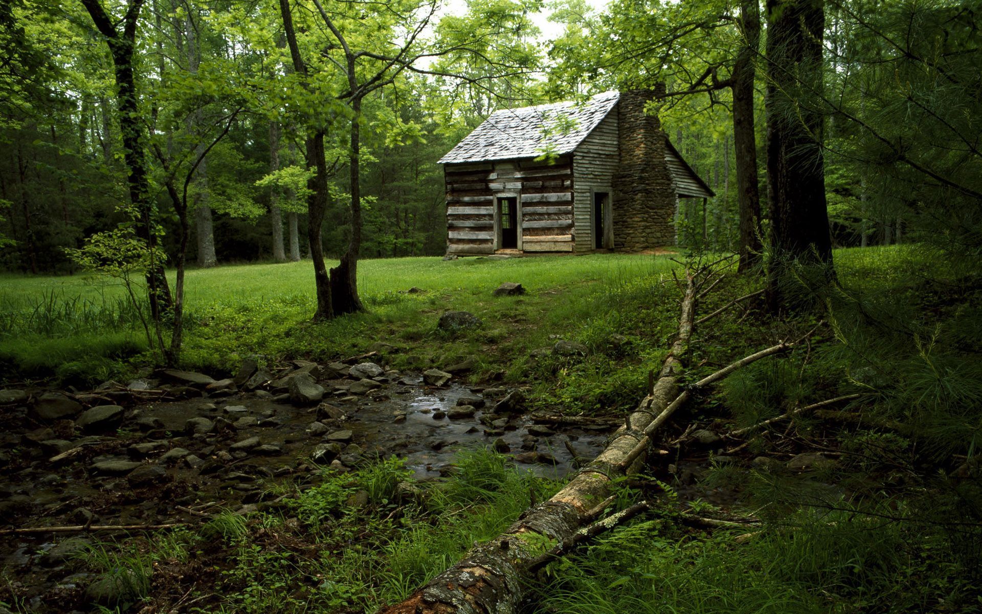 Old House In Forest Wallpapers