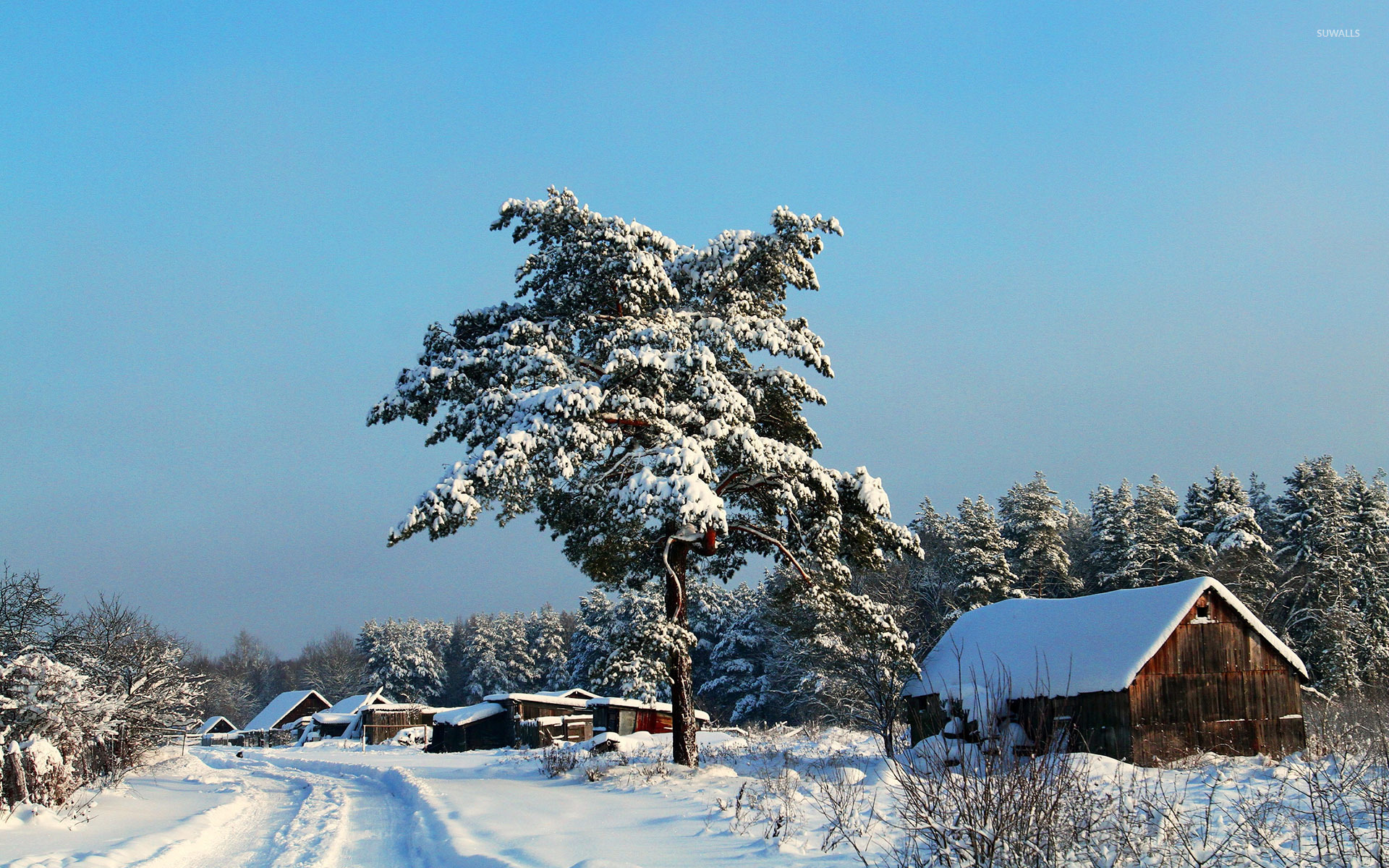 Old House In Forest Wallpapers