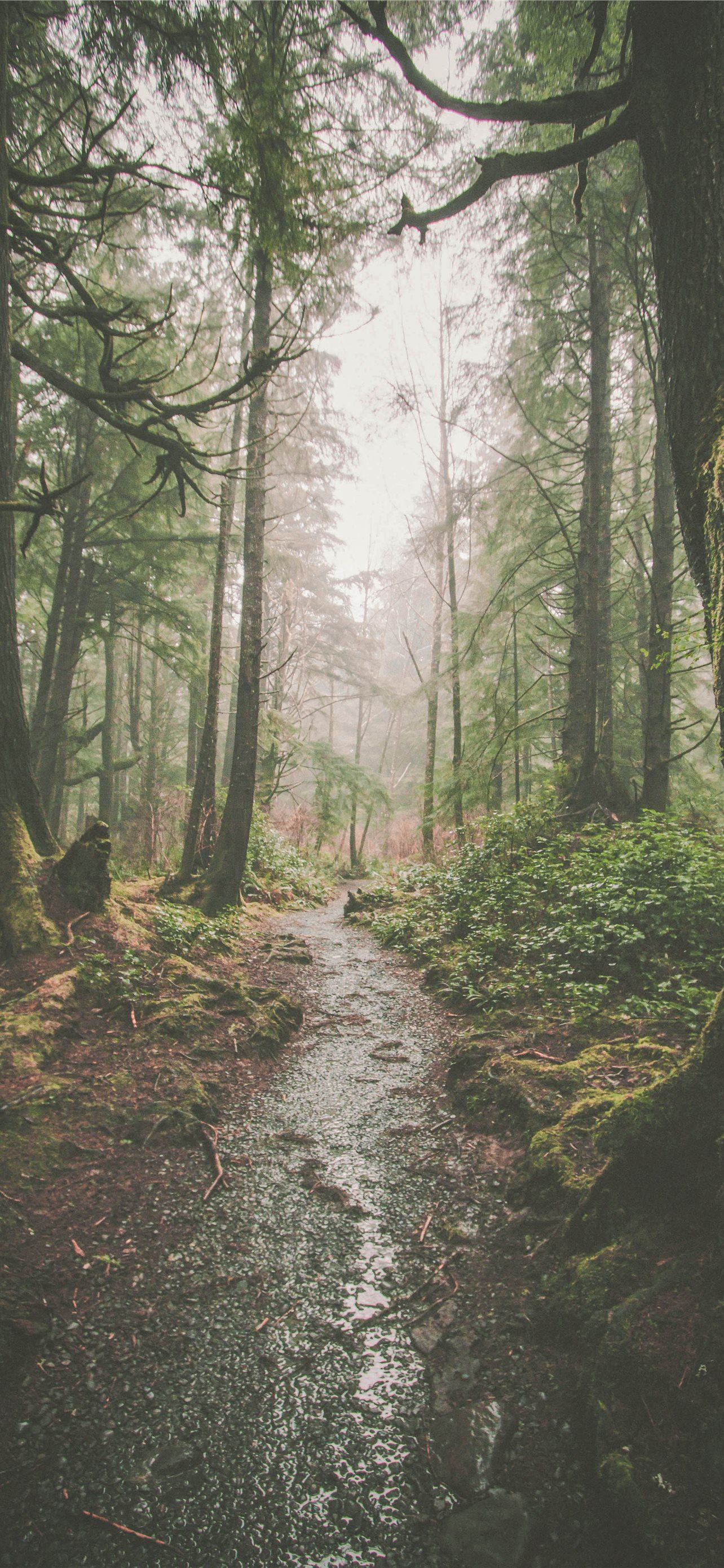 Olympic National Park Wallpapers