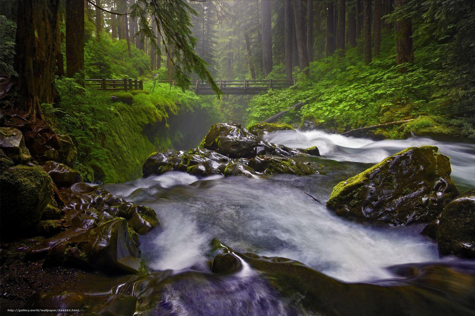 Olympic National Park Wallpapers