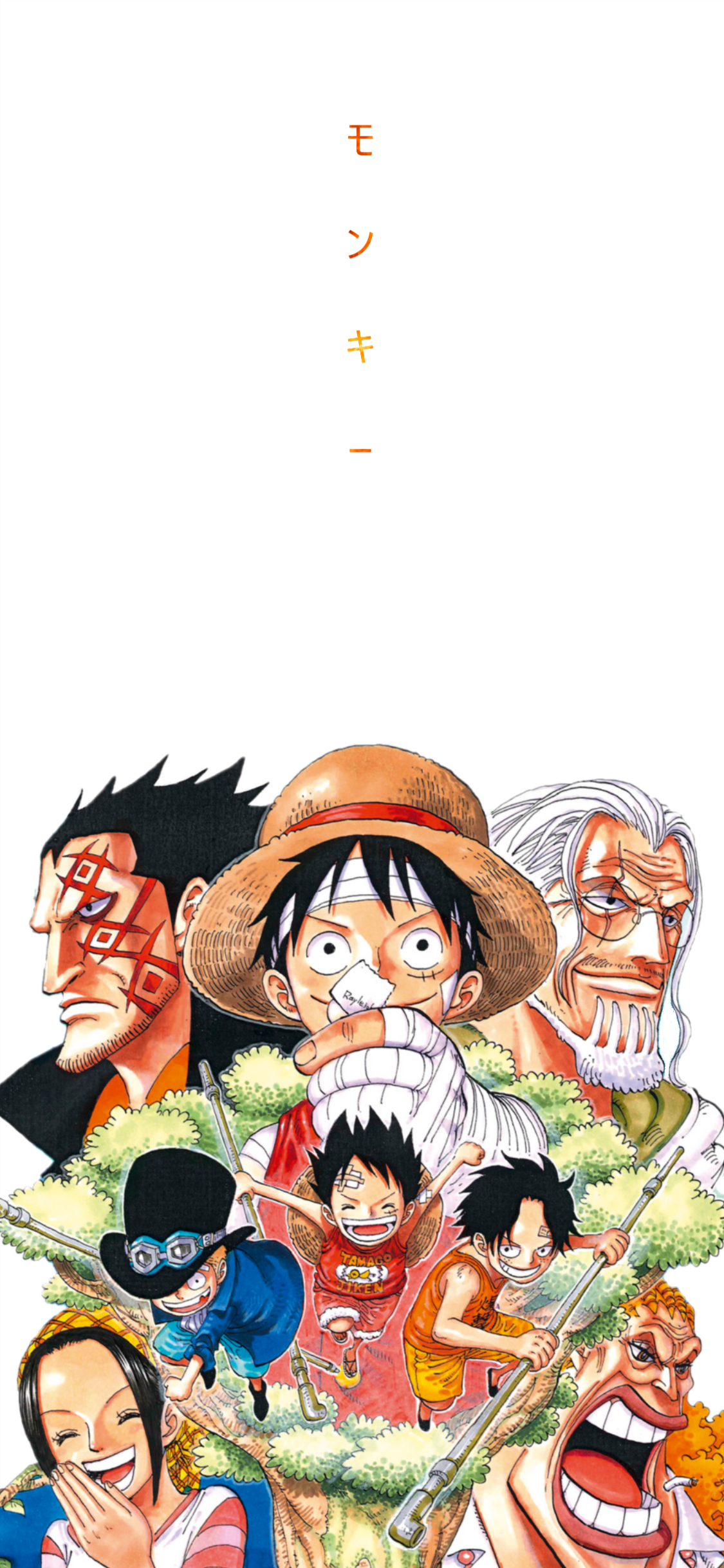 One Piece 2021 Wallpapers