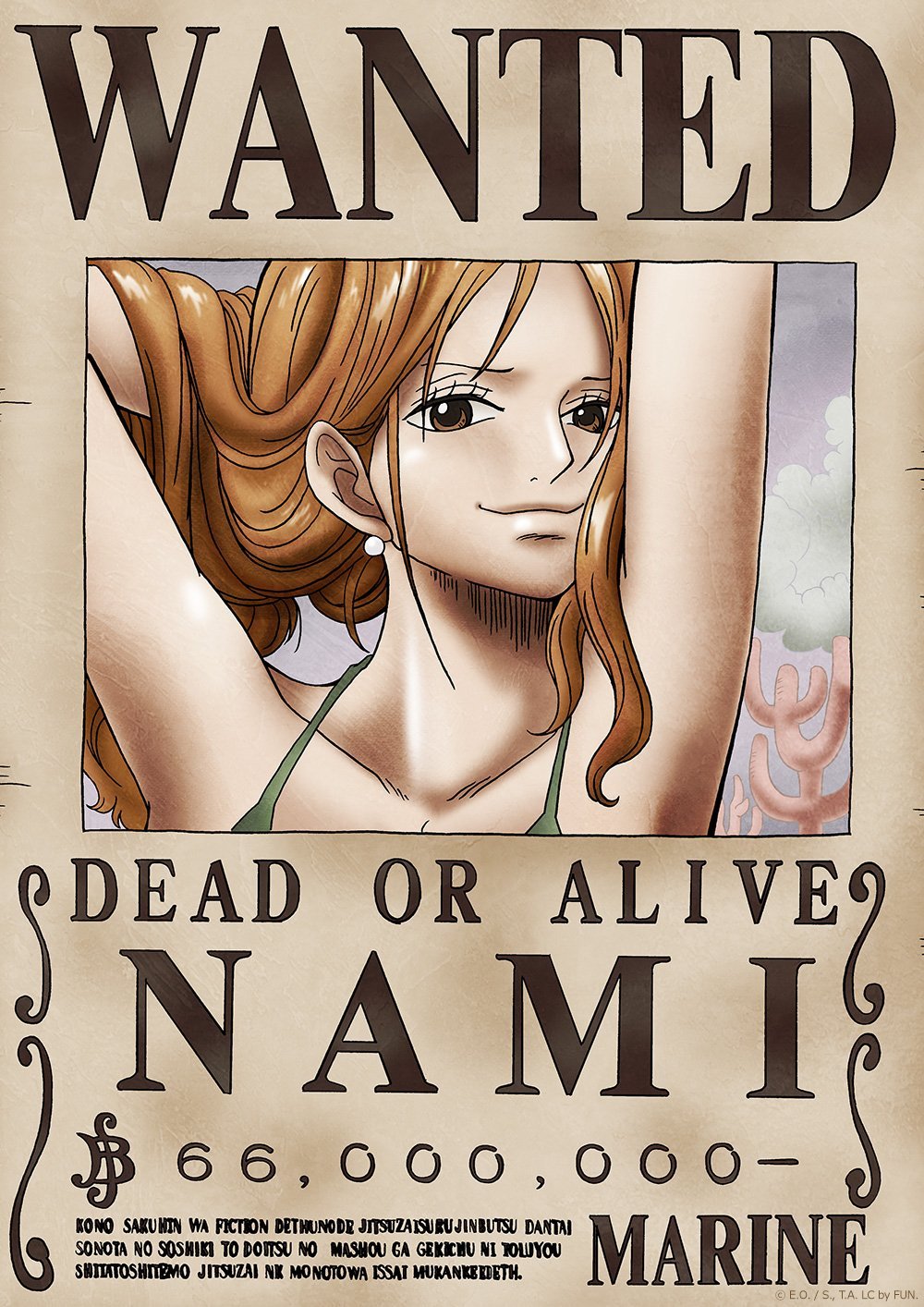 One Piece Wanted Poster Wallpapers