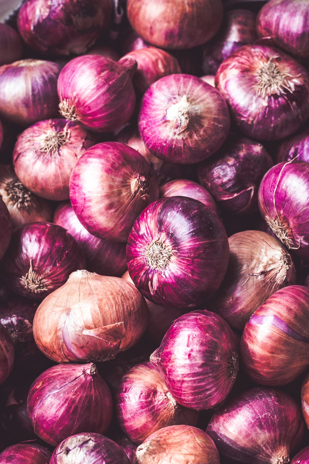 Onion Wallpapers