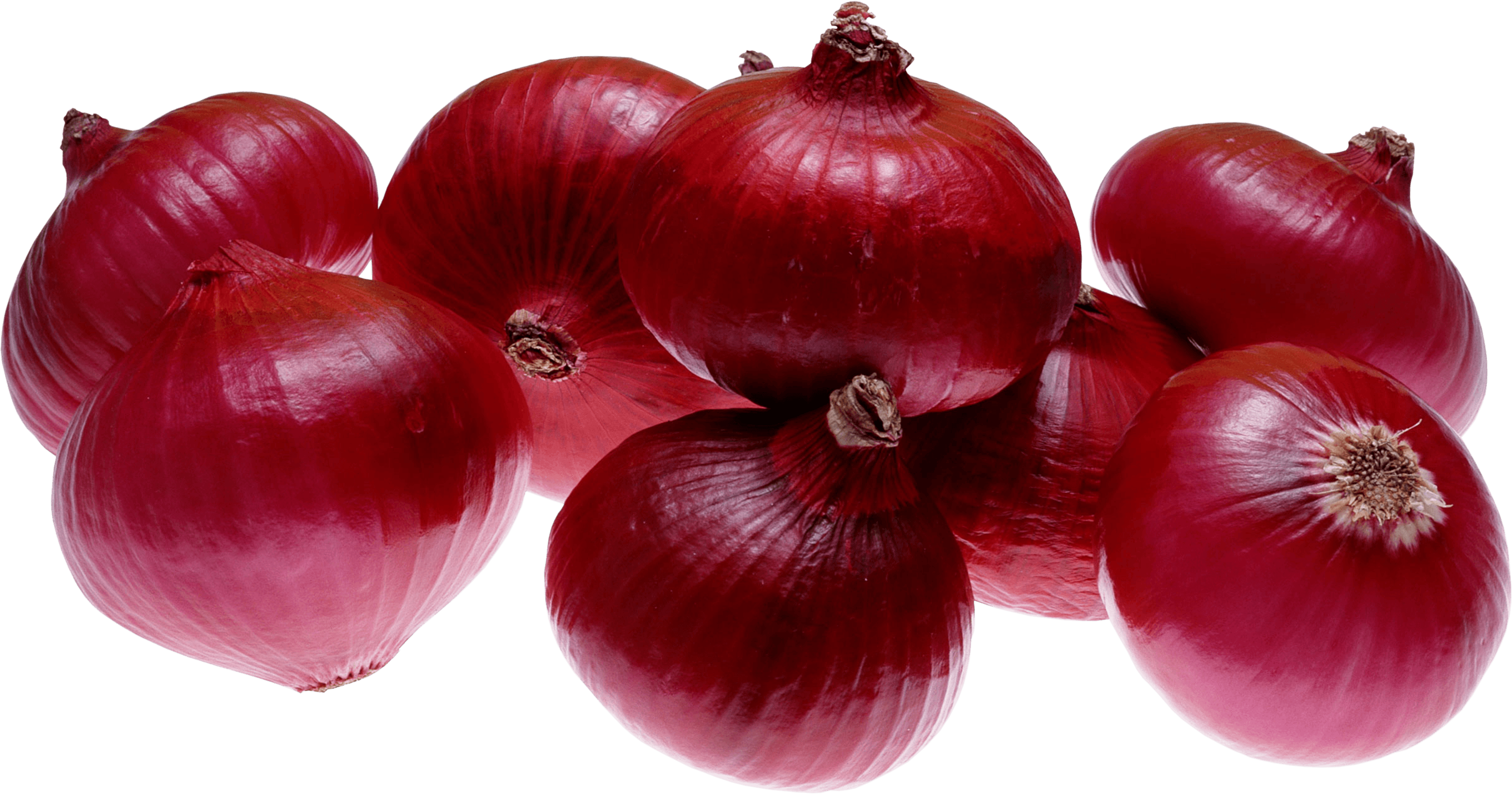 Onion Wallpapers