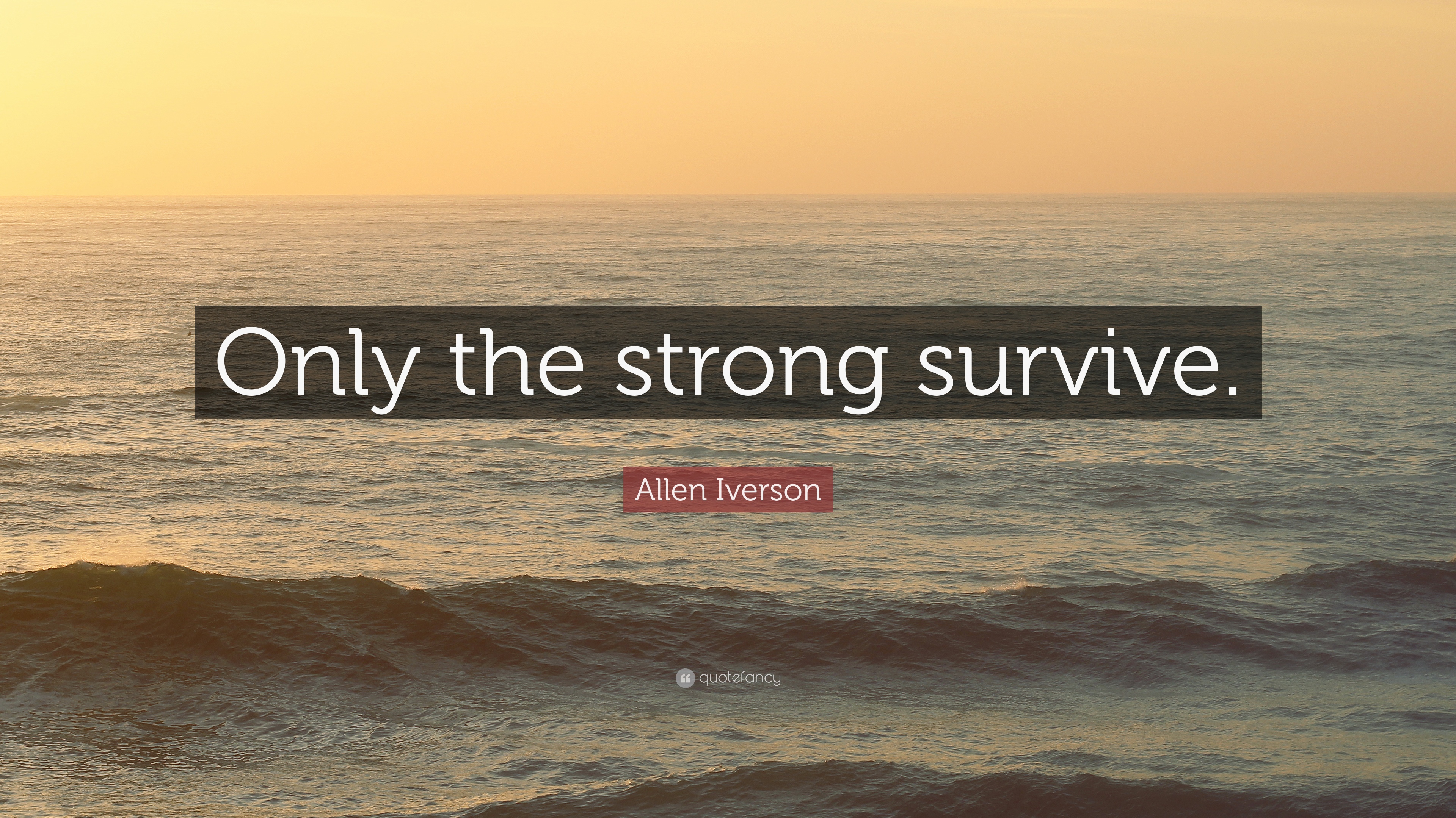 Only The Strong Survive Wallpapers