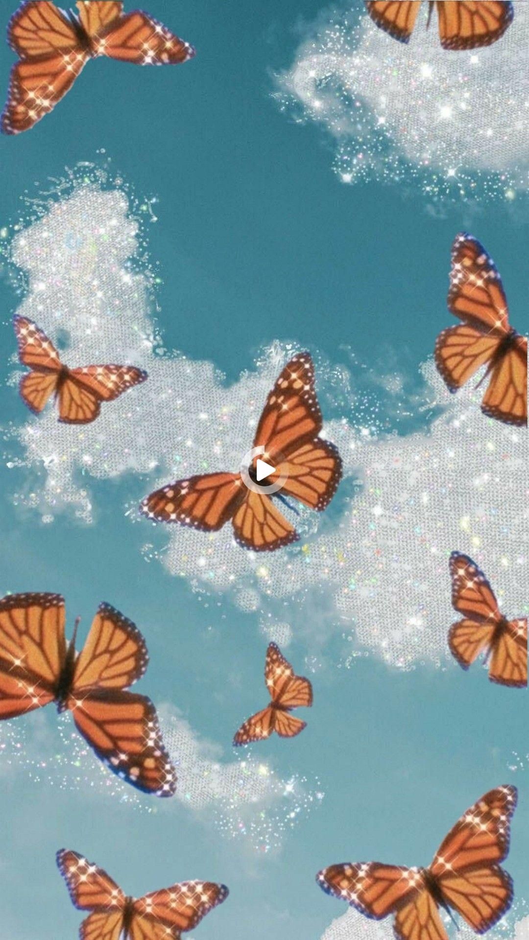 Orange Butterfly Iphone Wallpapers