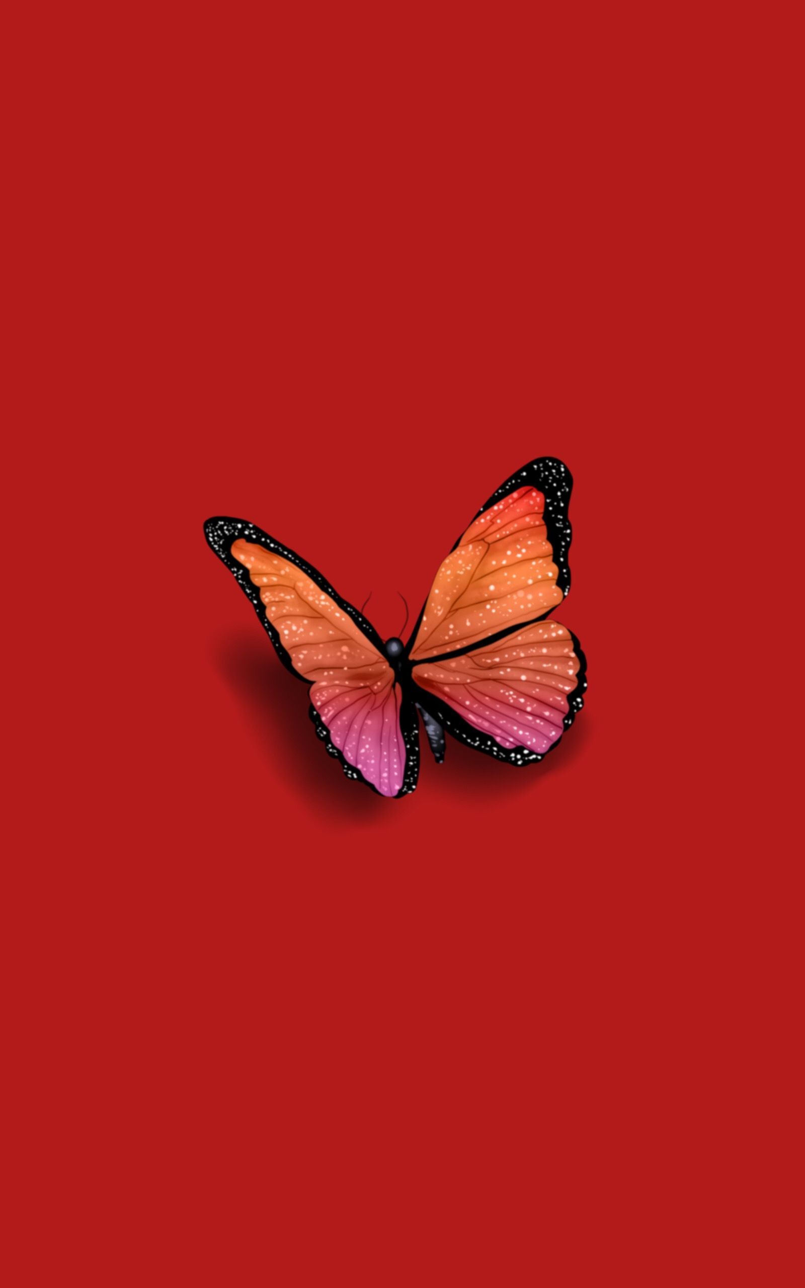 Orange Butterfly Iphone Wallpapers