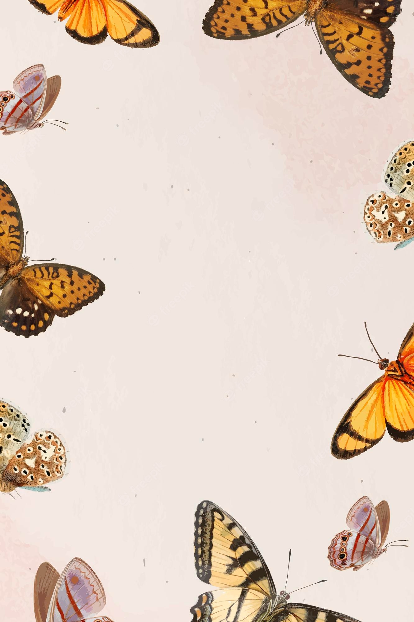 Orange Butterfly Wallpapers