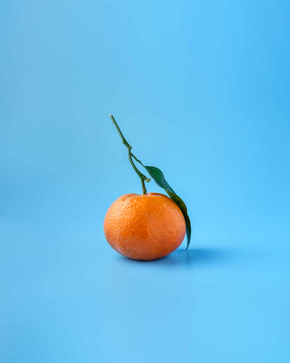 Orange Color Wallpapers