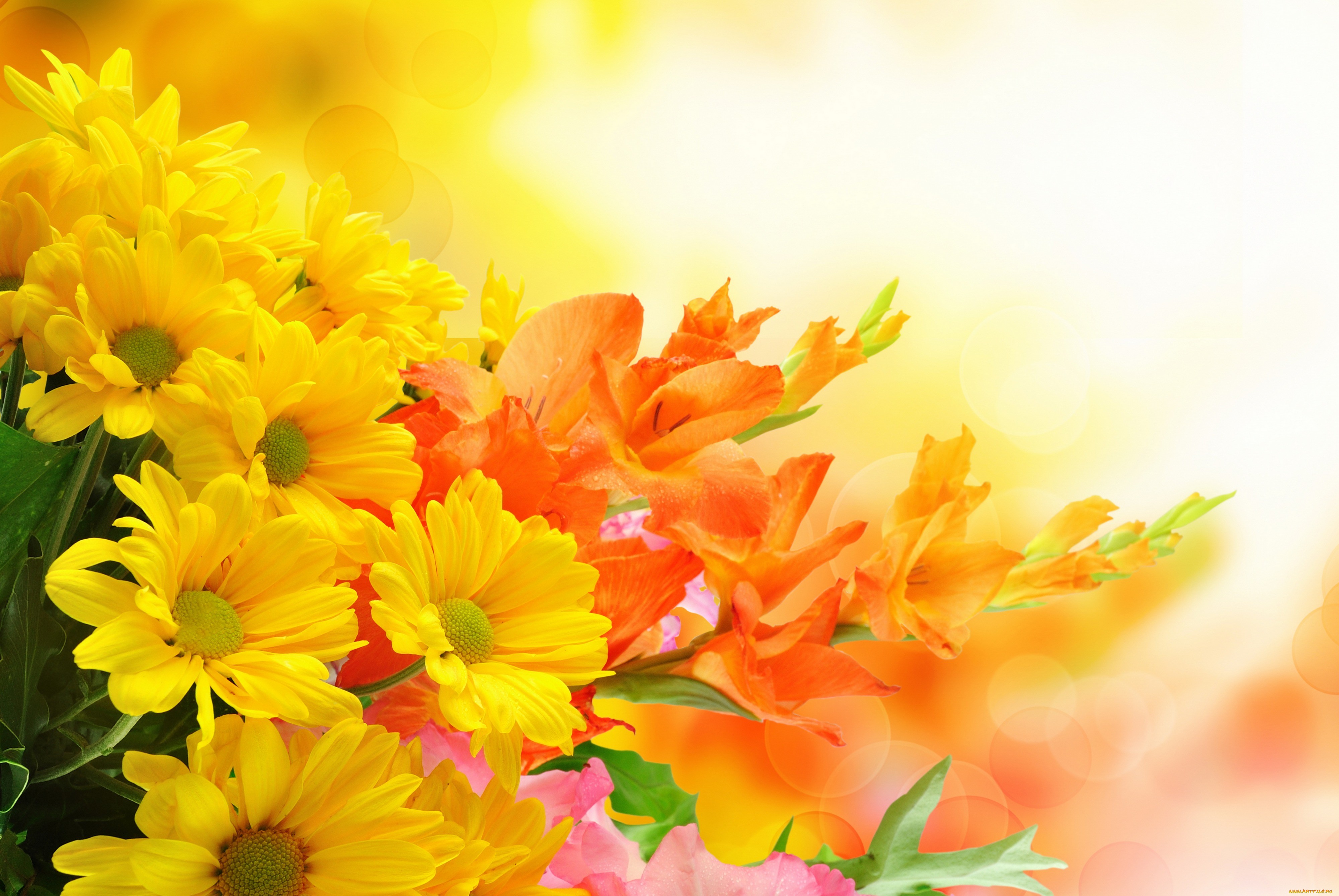 Orange Floral Wallpapers