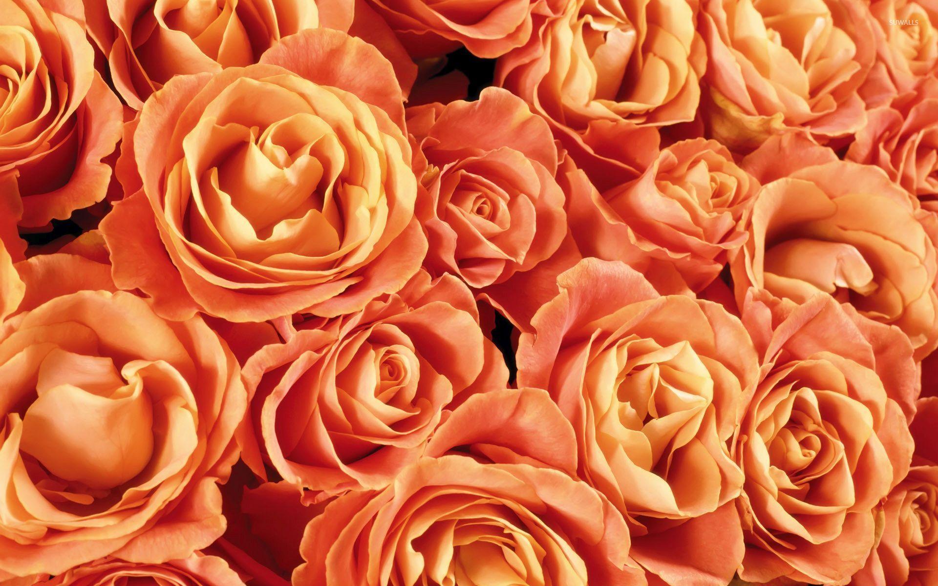 Orange Floral Wallpapers