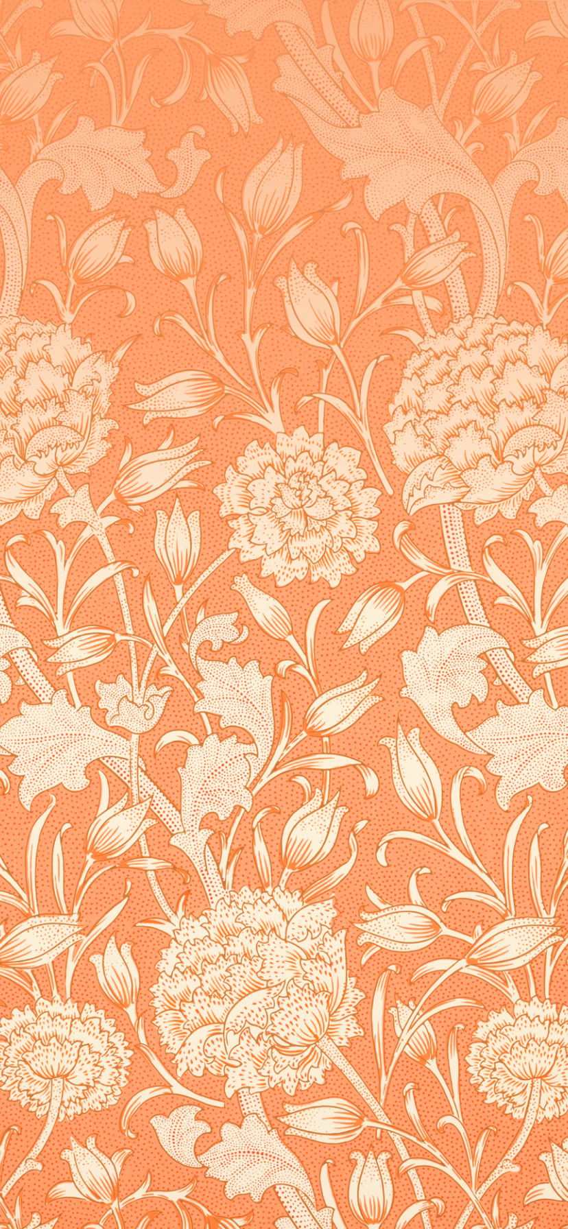 Orange Floral Wallpapers