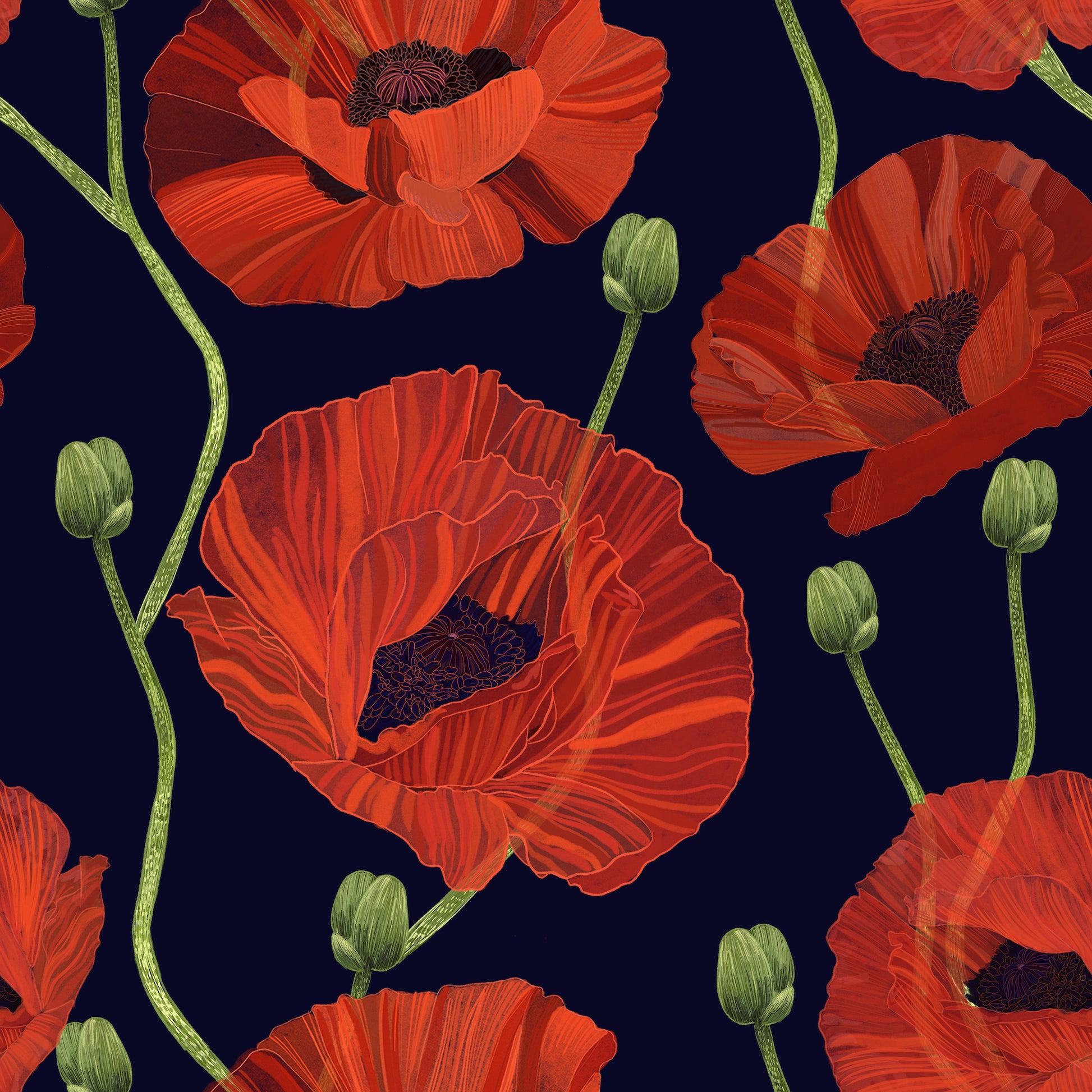 Orange Poppy Wallpapers