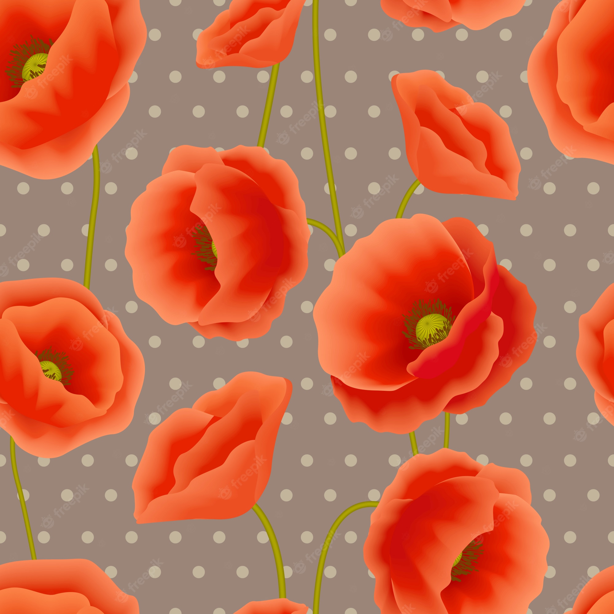 Orange Poppy Wallpapers