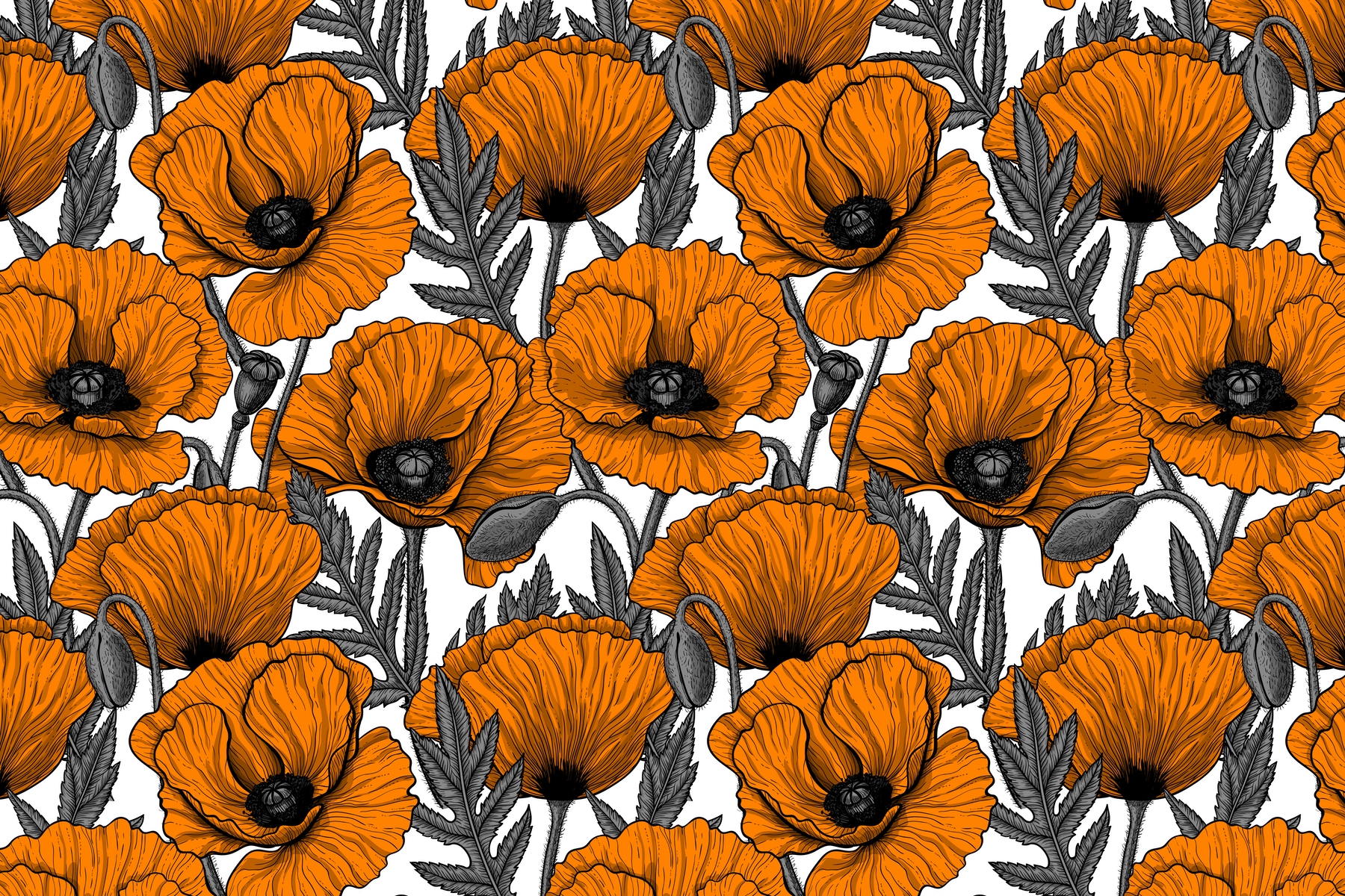 Orange Poppy Wallpapers