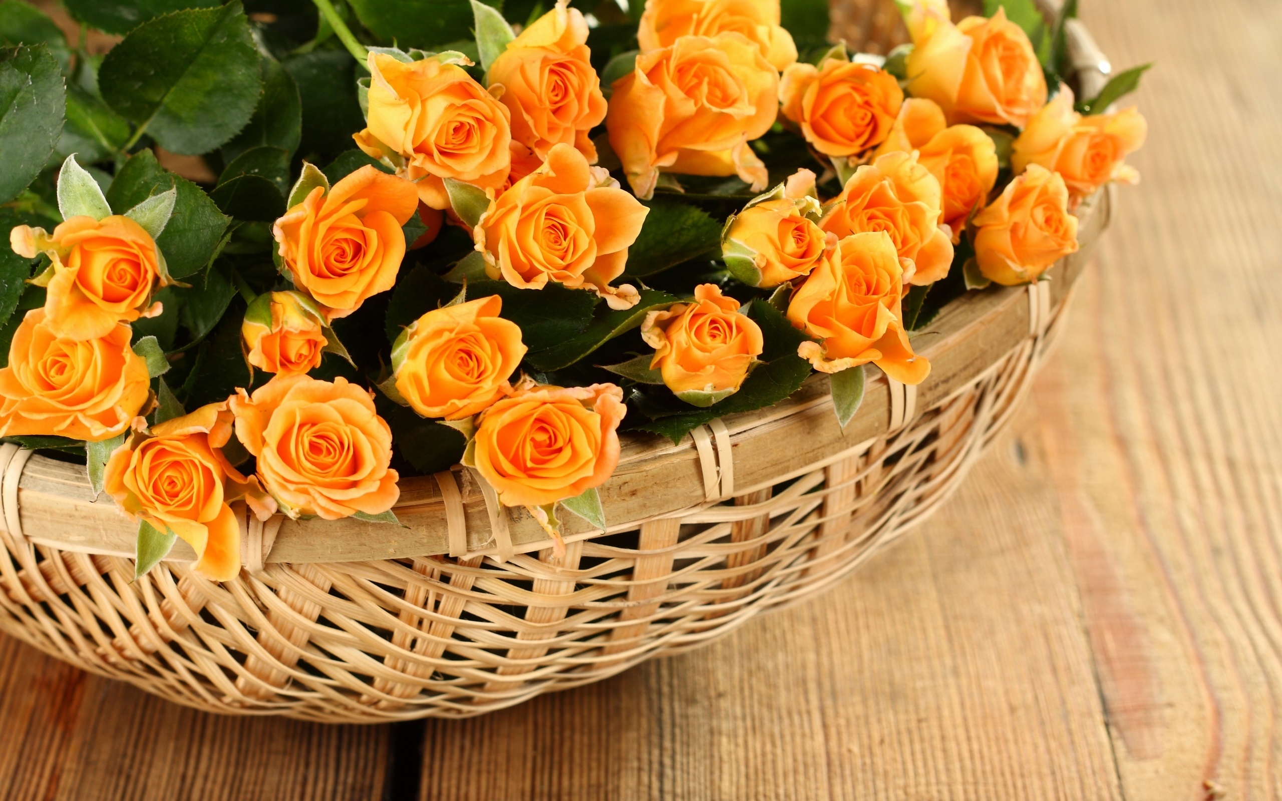 Orange Roses Desktop Wallpapers