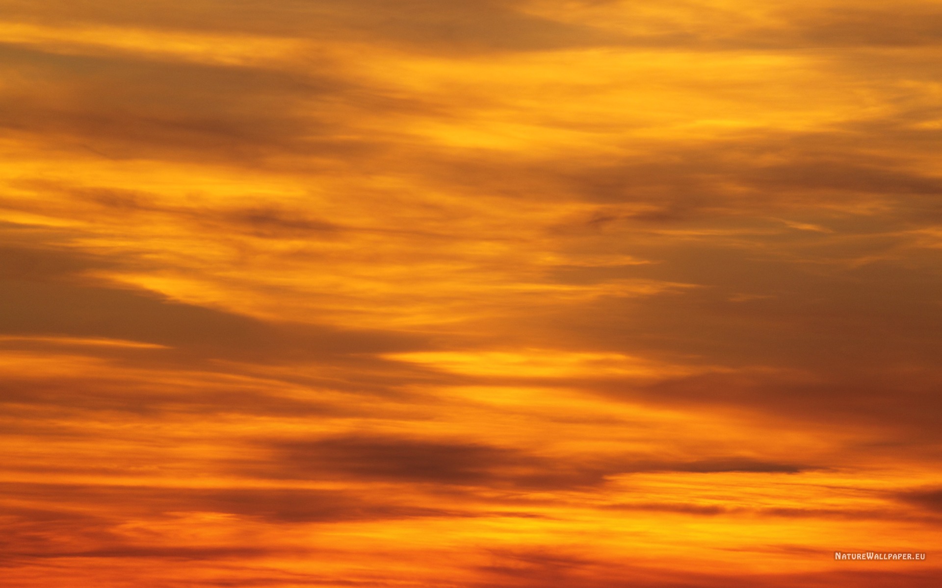 Orange Sky Wallpapers